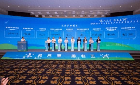 扬州第二届氢能产业高质量发展大会举行(图1)
