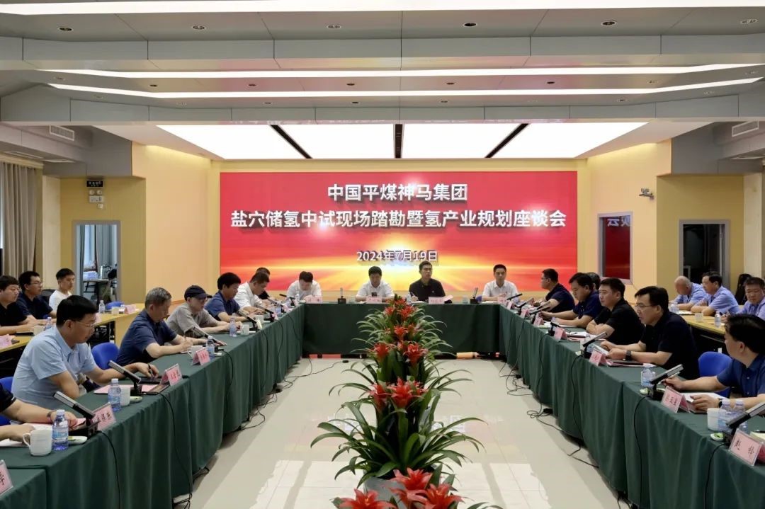 国内首个盐穴储氢项目完成中试现场踏勘(图1)