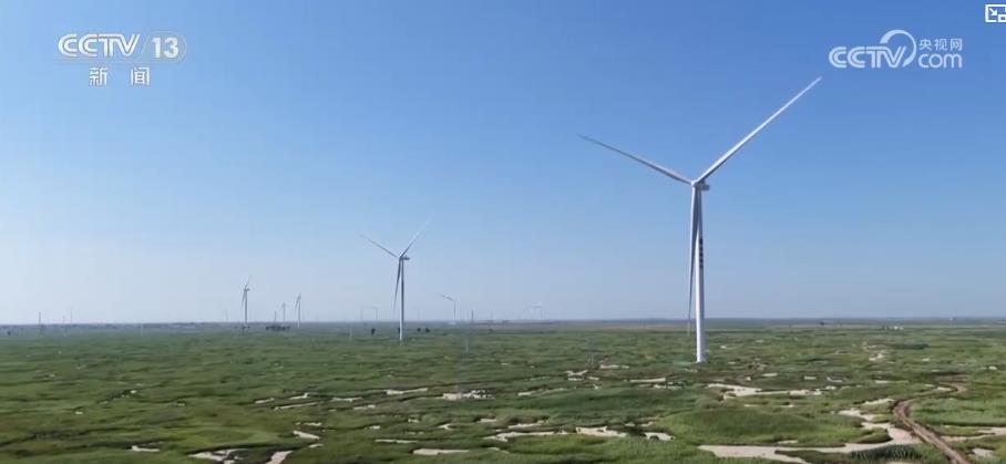 我国绿色能源重大突破：全球最大单体绿氨装置投产 四项世界之最创新技术亮相(图3)