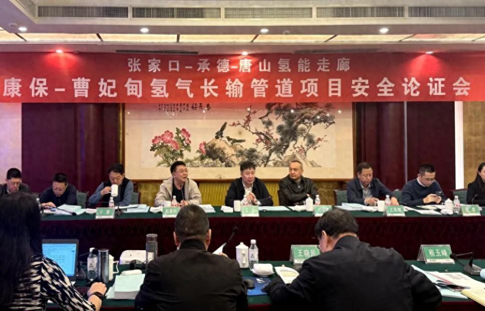 开工在即！全球最大规模绿氢管道通过安全论证(图1)