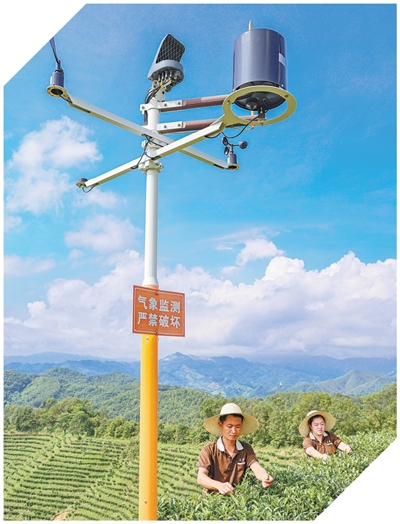 【人民网-人民日报】坚持“双碳”引领，推动全面绿色转型（稳中求进、提质增效 实现“十五五”良好开局）(图3)