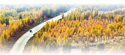 【人民网-人民日报】坚持“双碳”引领，推动全面绿色转型（稳中求进、提质增效 实现“十五五”良好开局）(图4)